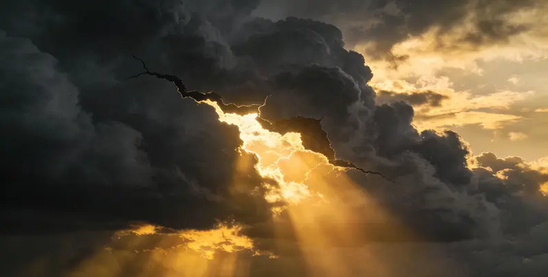 江门肺癌靶向39基因检测及PDL122C3表达检测套餐（组织）图片1