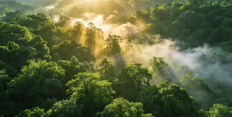 江门肺癌12基因ctDNA突变检测(血液）图片1
